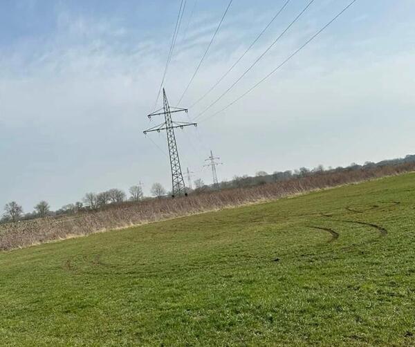 Besch�digung Wiesenfl�che Vogelschutzgebiet Weseraue Ovenst�dt