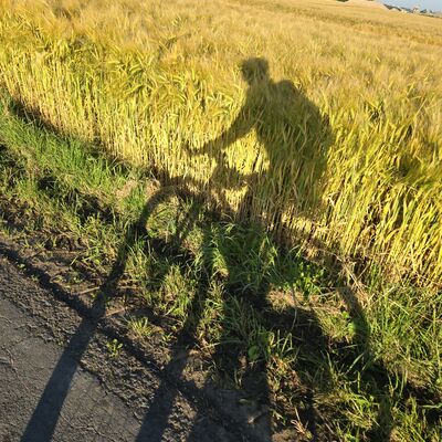 Foto Schatten-Rad