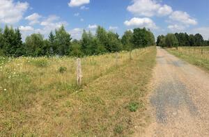 Bild vergrößern: Windheimer Marsch